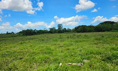 Bohol lot for sale 63,300 sqm clean title in San Miguel Bohol Philippines 150/sqm net