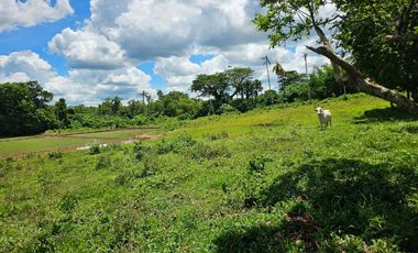 Bohol lot for sale 63,300 sqm clean title in San Miguel Bohol Philippines 150/sqm net