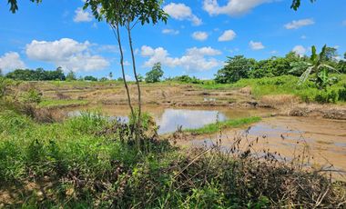 Bohol lot for sale 63,300 sqm clean title in San Miguel Bohol Philippines 150/sqm net