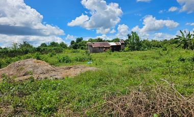 Bohol lot for sale 63,300 sqm clean title in San Miguel Bohol Philippines 150/sqm net