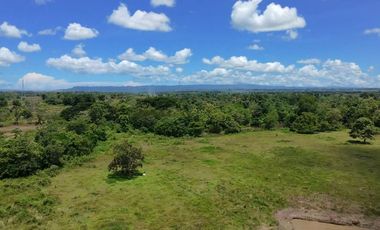 Bohol lot for sale 63,300 sqm clean title in San Miguel Bohol Philippines 150/sqm net