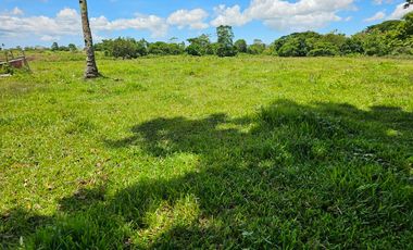 Bohol lot for sale 63,300 sqm clean title in San Miguel Bohol Philippines 150/sqm net