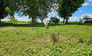 Bohol lot for sale 63,300 sqm clean title in San Miguel Bohol Philippines 150/sqm net