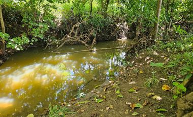 Bohol lot for sale 63,300 sqm clean title in San Miguel Bohol Philippines 150/sqm net