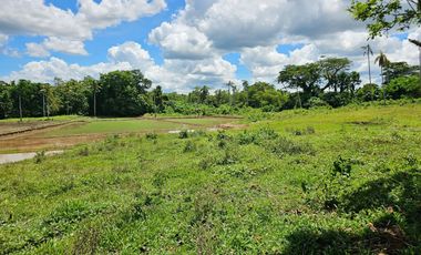 Bohol lot for sale 63,300 sqm clean title in San Miguel Bohol Philippines 150/sqm net