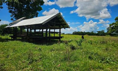 Bohol lot for sale 63,300 sqm clean title in San Miguel Bohol Philippines 150/sqm net