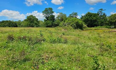 Bohol lot for sale 63,300 sqm clean title in San Miguel Bohol Philippines 150/sqm net