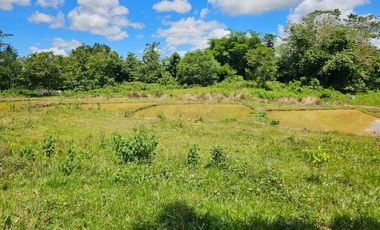 Bohol lot for sale 63,300 sqm clean title in San Miguel Bohol Philippines 150/sqm net