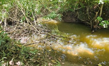 Bohol lot for sale 63,300 sqm clean title in San Miguel Bohol Philippines 150/sqm net