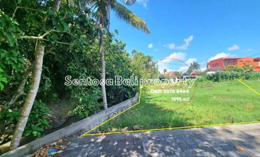Tanah di Pererenan Canggu - Lingkungan Villa