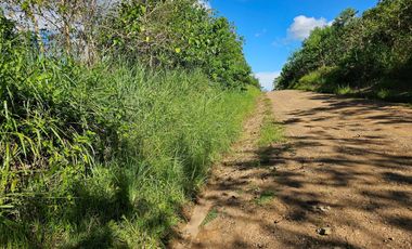 Bohol lot for sale 47,101 sqm clean title San Miguel Bohol 200/sqm negotiable