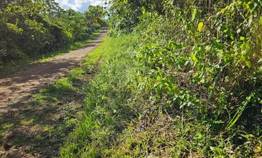 Bohol lot for sale 47,101 sqm clean title San Miguel Bohol 200/sqm negotiable