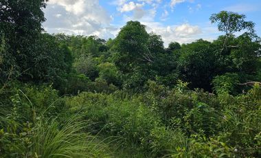 Bohol lot for sale 47,101 sqm clean title San Miguel Bohol 200/sqm negotiable