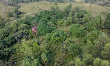 Bohol lot for sale 47,101 sqm clean title San Miguel Bohol 200/sqm negotiable