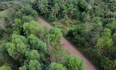 Bohol lot for sale 47,101 sqm clean title San Miguel Bohol 200/sqm negotiable