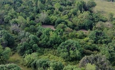 Bohol lot for sale 47,101 sqm clean title San Miguel Bohol 200/sqm negotiable