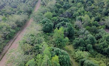 Bohol lot for sale 47,101 sqm clean title San Miguel Bohol 200/sqm negotiable