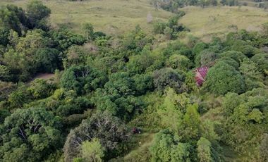 Bohol lot for sale 47,101 sqm clean title San Miguel Bohol 200/sqm negotiable