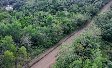 Bohol lot for sale 47,101 sqm clean title San Miguel Bohol 200/sqm negotiable