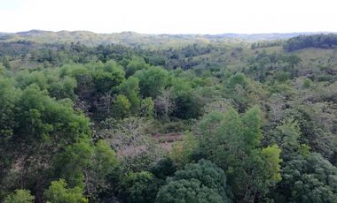 Bohol lot for sale 47,101 sqm clean title San Miguel Bohol 200/sqm negotiable