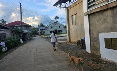 Bohol lot for sale 47,101 sqm clean title San Miguel Bohol 200/sqm negotiable