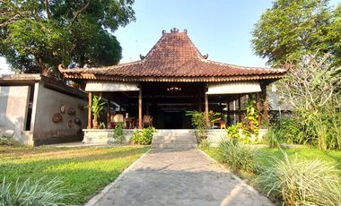 Rumah Estetik dan Natural dengan Joglo dan Kolam Renang di Maguwoharjo