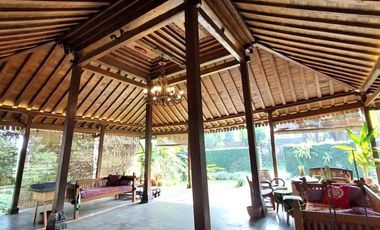 Rumah Estetik dan Natural dengan Joglo dan Kolam Renang di Maguwoharjo