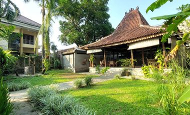 Rumah Estetik dan Natural dengan Joglo dan Kolam Renang di Maguwoharjo