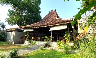 Rumah Estetik dan Natural dengan Joglo dan Kolam Renang di Maguwoharjo