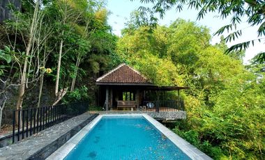 Rumah Estetik dan Natural dengan Joglo dan Kolam Renang di Maguwoharjo