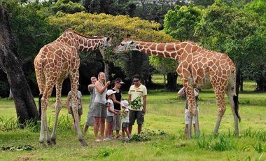 BRAND NEW HOUSE FOR SALE IN CORON, PALAWAN with infinity pool