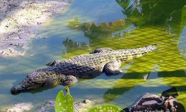 BRAND NEW HOUSE FOR SALE IN CORON, PALAWAN with infinity pool