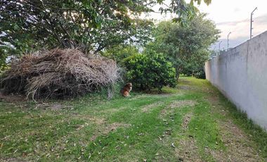 VENDO TERRENO EN LA MORITA, SECTOR TUMBACO