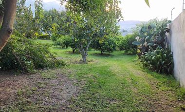VENDO TERRENO EN LA MORITA, SECTOR TUMBACO