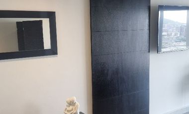 Departamento en Renta Col del Carmen