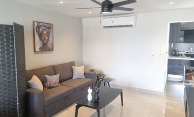 Departamento en Renta Col del Carmen