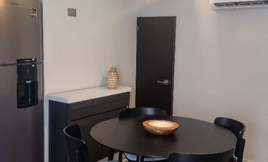 Departamento en Renta Col del Carmen