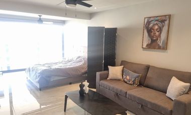 Departamento en Renta Col del Carmen