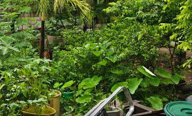 For Sale: House and Lot in Culiat Tandang Sora, Quezon City