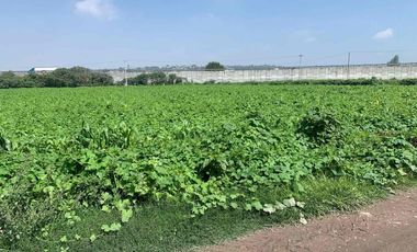 venta terreno tultepec