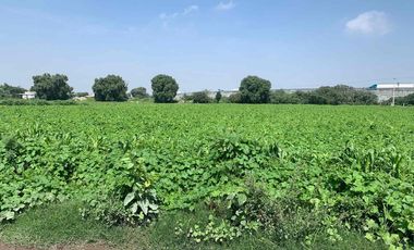 venta terreno tultepec