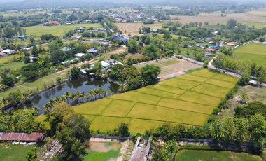 Land 6 rai in San Kamphaeng for Sale