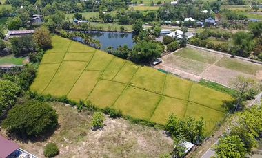 Land 6 rai in San Kamphaeng for Sale