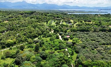 10,001 m2 / 2.47 Acres | Prime Commercial Estate for Gainful Return