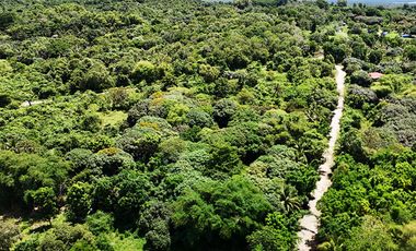 10,001 m2 / 2.47 Acres | Prime Commercial Estate for Gainful Return