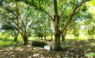 10,001 m2 / 2.47 Acres | Prime Commercial Estate for Gainful Return