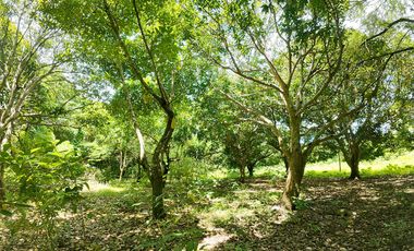 10,001 m2 / 2.47 Acres | Prime Commercial Estate for Gainful Return