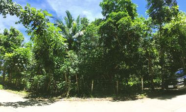 10,001 m2 / 2.47 Acres | Prime Commercial Estate for Gainful Return
