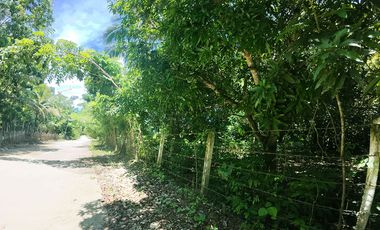 10,001 m2 / 2.47 Acres | Prime Commercial Estate for Gainful Return