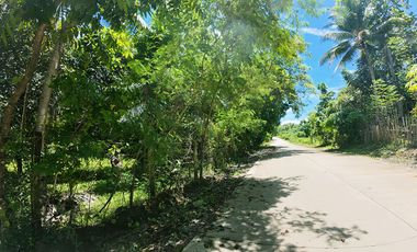 10,001 m2 / 2.47 Acres | Prime Commercial Estate for Gainful Return